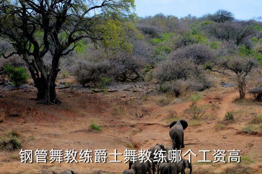 钢管舞教练爵士舞教练哪个工资高