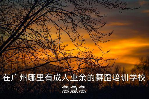 在广州哪里有成人业余的舞蹈培训学校急急急