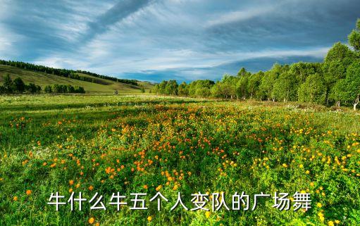 牛什么牛五个人变队的广场舞
