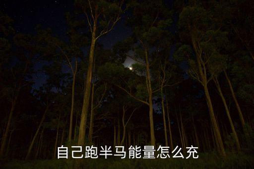 自己跑半马能量怎么充