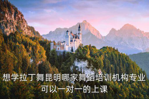 想学拉丁舞昆明哪家舞蹈培训机构专业可以一对一的上课