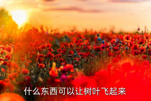 什么东西可以让树叶飞起来