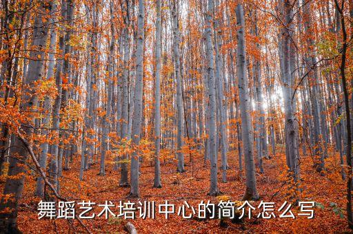 舞蹈培训中心简介范本，潍坊飞扬国际标准舞学校 详细介绍