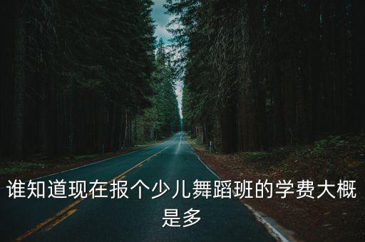 谁知道现在报个少儿舞蹈班的学费大概是多
