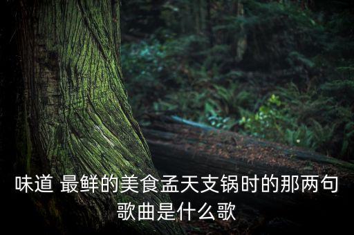味道 最鲜的美食孟天支锅时的那两句歌曲是什么歌