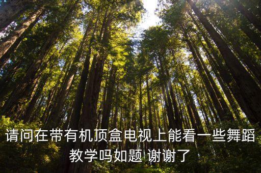 请问在带有机顶盒电视上能看一些舞蹈教学吗如题 谢谢了