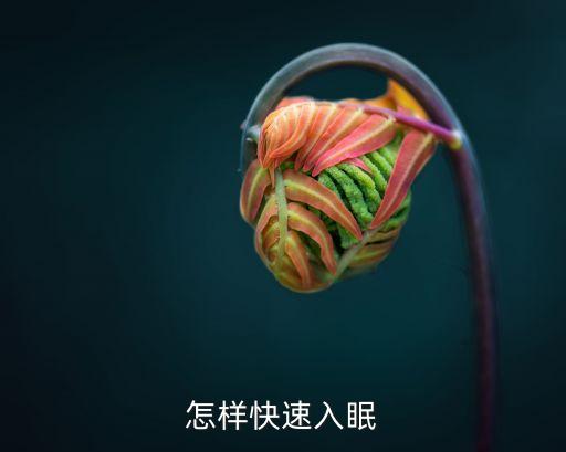 怎样快速入眠