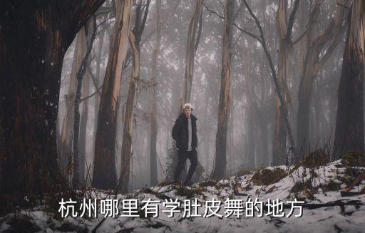 杭州城西哪里有学肚皮舞，杭州哪里有学跳舞的地方我住在西城附近的