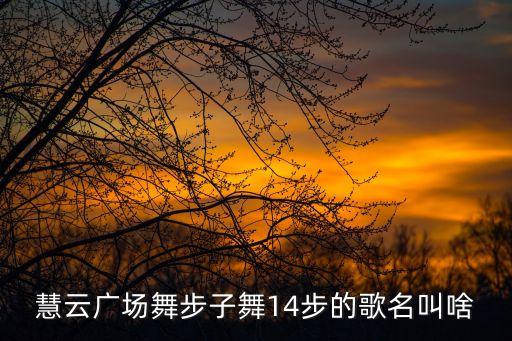 慧云广场舞步子舞14步的歌名叫啥