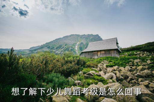 中国舞考级是怎么回事，舞蹈考级怎么考