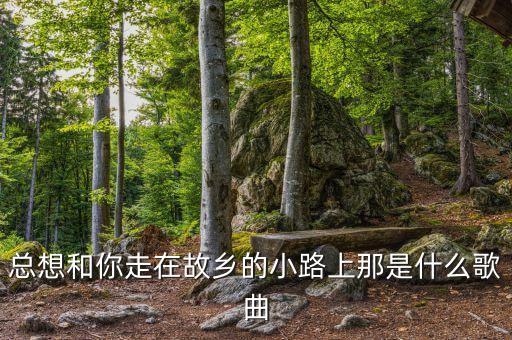 总想和你走在故乡的小路上那是什么歌曲