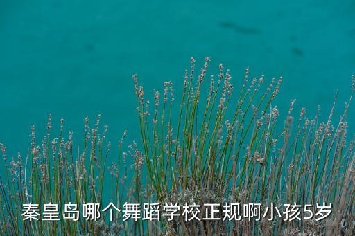 谷庆午林紫萱在哪个舞蹈学校，重返十七岁和歌舞青春分别在哪个学校拍的