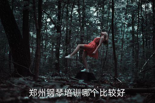 郑州钢琴培训哪个比较好