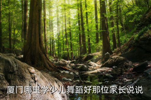 厦门哪里学儿童舞蹈比较好，厦门哪里学少儿舞蹈好那位家长说说