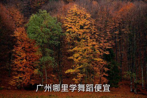 广州哪里学舞蹈便宜