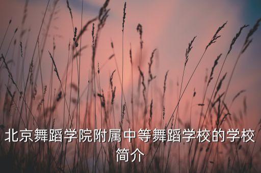 北京舞蹈学院附属中等舞蹈学校的学校简介
