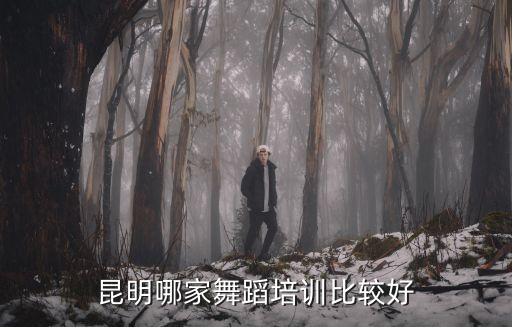 昆明哪家舞蹈培训比较好
