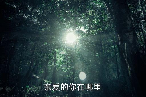 舞蝶亲爱的你在哪里广场舞视频，亲爱的你在哪里