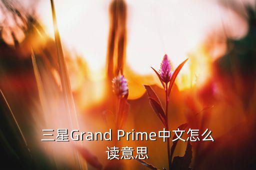 grand plie怎么读，grandpere什么意思
