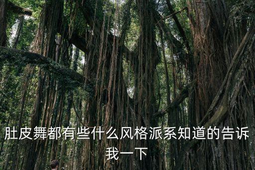 肚皮舞都有些什么风格派系知道的告诉我一下