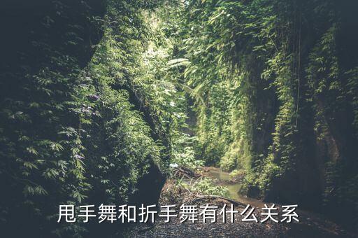 甩手 是什么舞种，街舞所有舞种分类