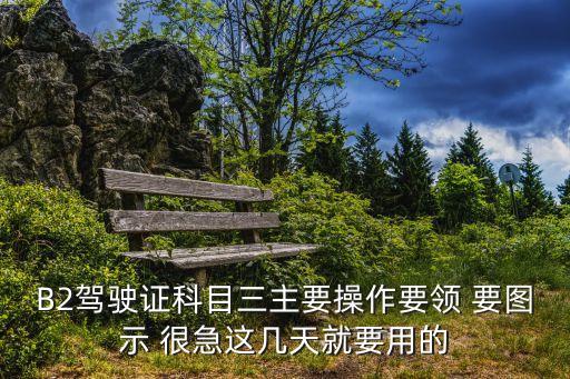 B2驾驶证科目三主要操作要领 要图示 很急这几天就要用的