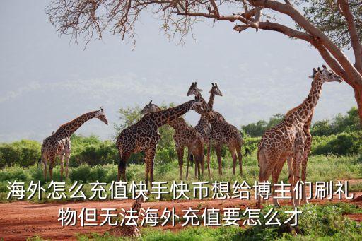 海外怎么充值快手快币想给博主们刷礼物但无法海外充值要怎么才
