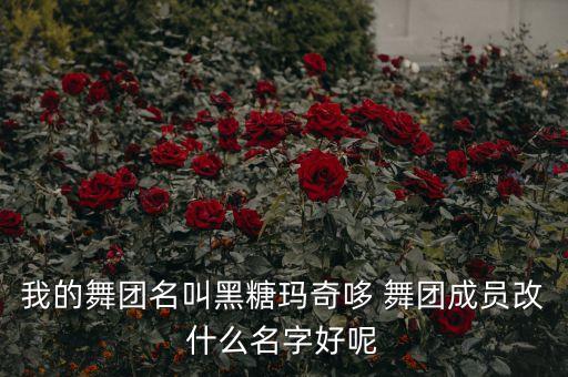 东方舞的名字叫什么名字叫什么，偶滴歌神啊第4期2015826鉴音团里的这个女的叫什么名字
