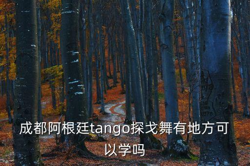 阿根廷探戈学习班哪个好，在上海哪里有比较好的阿根廷探戈老师可以推荐的吗价位适中一点