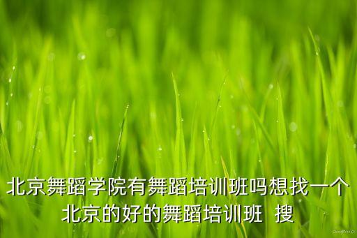 北京舞蹈学院有舞蹈培训班吗想找一个北京的好的舞蹈培训班  搜