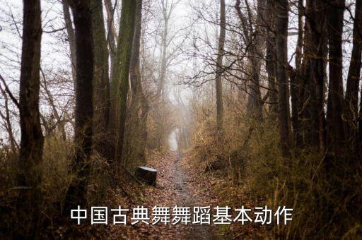 中国古典舞舞蹈基本动作