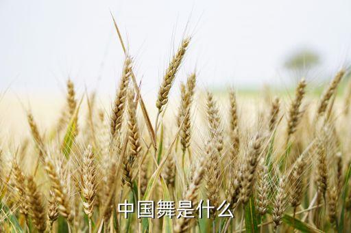 中国舞是什么