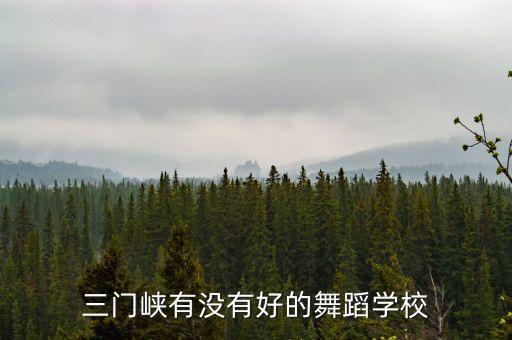 三门峡有没有好的舞蹈学校
