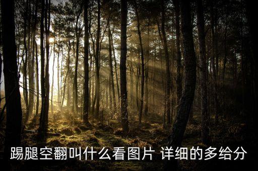 国标舞踢腿动作叫什么，两脚体前交叉走接1侧踢腿叫甚么
