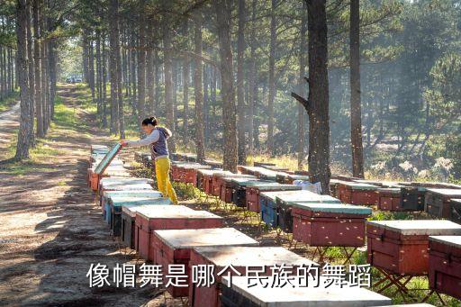 像帽舞是哪个民族的舞蹈