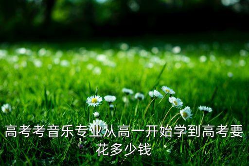 高考考音乐专业从高一开始学到高考要花多少钱