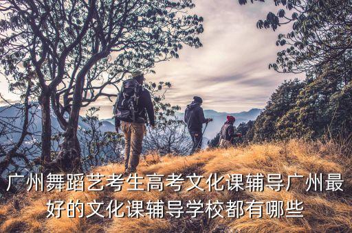 广州舞蹈艺考生高考文化课辅导广州最好的文化课辅导学校都有哪些