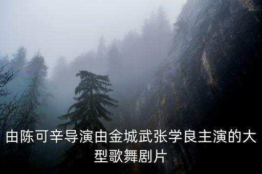 舞剧高山流水首演民族剧院，由陈可辛导演由金城武张学良主演的大型歌舞剧片
