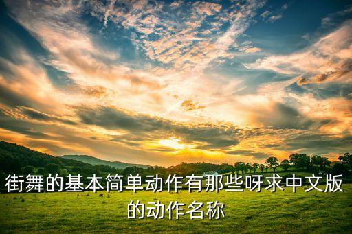 街舞的基本简单动作有那些呀求中文版的动作名称