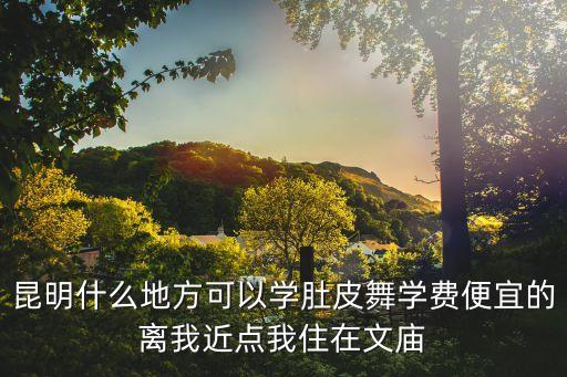 昆明什么地方可以学肚皮舞学费便宜的离我近点我住在文庙