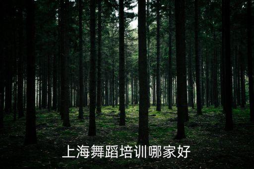 上海舞蹈培训哪家好