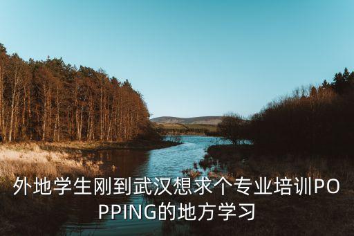 到武汉学跳舞去哪里好，武汉学拉丁舞教练班哪里最好