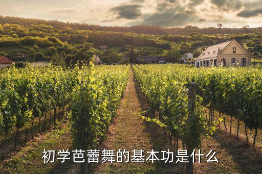 芭蕾舞蹈基本功训练视频，在家怎么练芭蕾