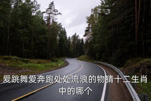 爱跳舞爱奔跑处处流浪的物猜十二生肖中的哪个