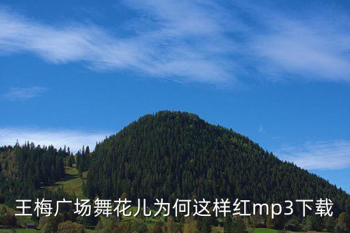 王梅广场舞花儿为何这样红mp3下载