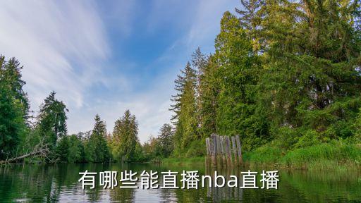 有哪些能直播nba直播