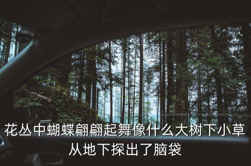 花丛中蝴蝶翩翩起舞像什么大树下小草从地下探出了脑袋