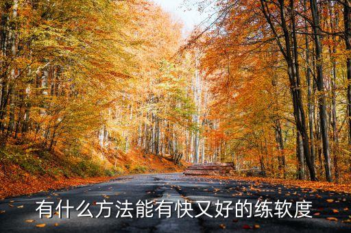 有什么方法能有快又好的练软度