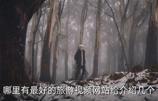 哪里有最好的旅游视频网站给介绍几个