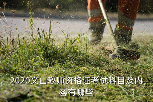 2020文山教师资格证考试科目及内容有哪些